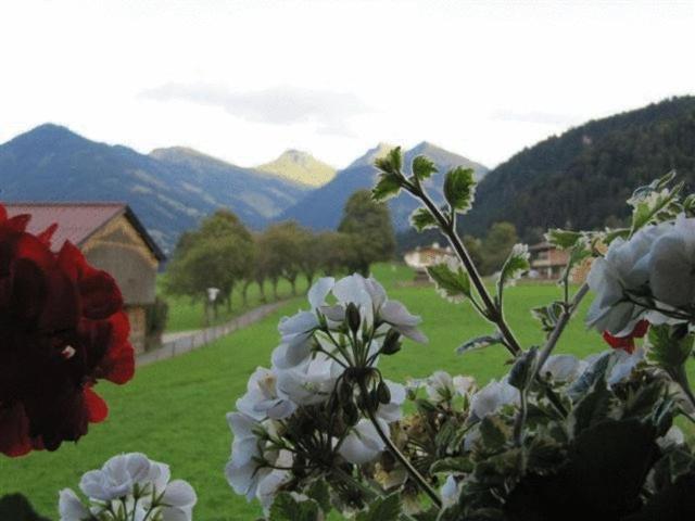 Haus Friedl Hotel Kitzbühel Esterno foto
